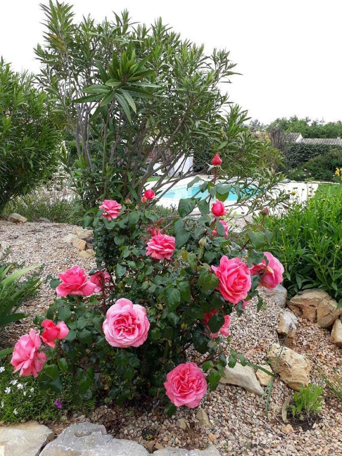La Colombe Bed & Breakfast Tourrettes Dış mekan fotoğraf